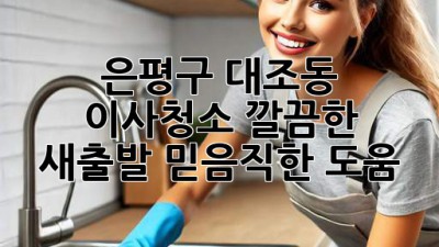 은평구 대조동 이사청소: 깔끔한 새출발, 믿음직한 도움