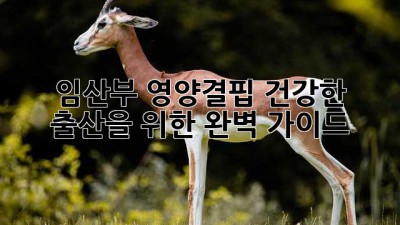 임산부 영양결핍: 건강한 출산을 위한 완벽 가이드