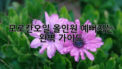 모로칸오일 올인원: 예뻐지는 완벽 가이드 ✨