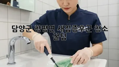 담양군 창평면 새집증후군 청소 꿀팁🏡✨